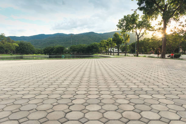 Best Concrete Paver Driveway  in Dandridge, TN