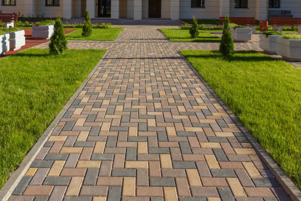 Best Driveway Paving Contractor  in Dandridge, TN